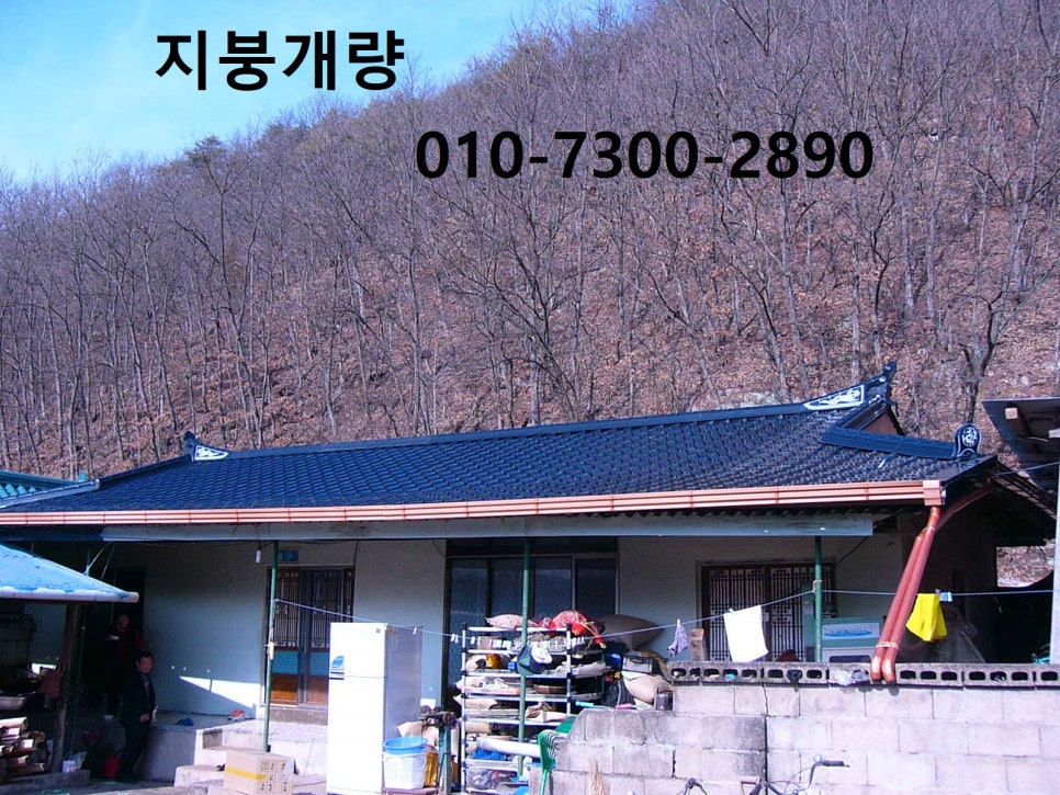 온양칼라 이미지