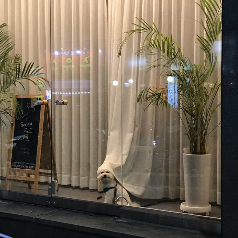 산수살롱 이미지
