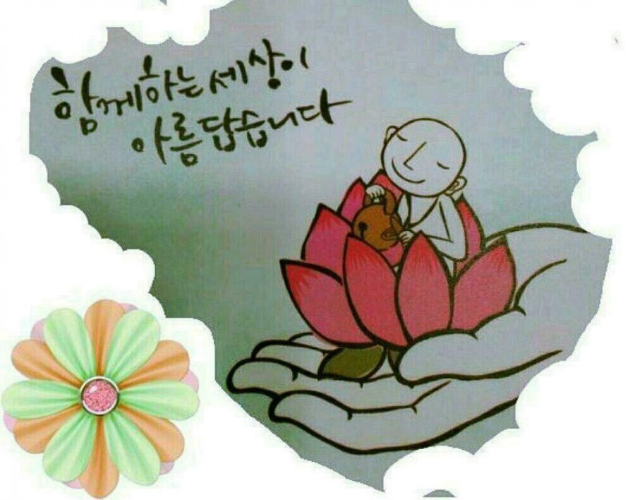 더정컴퍼니 이미지