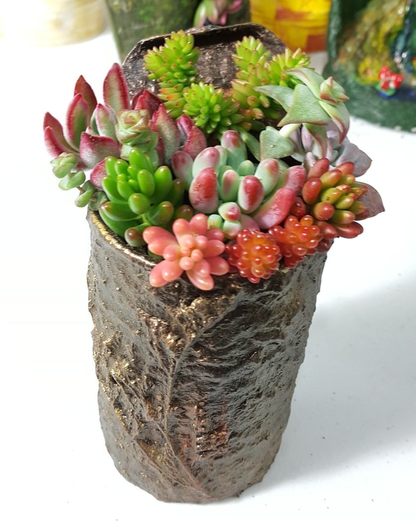 선아트농장 이미지