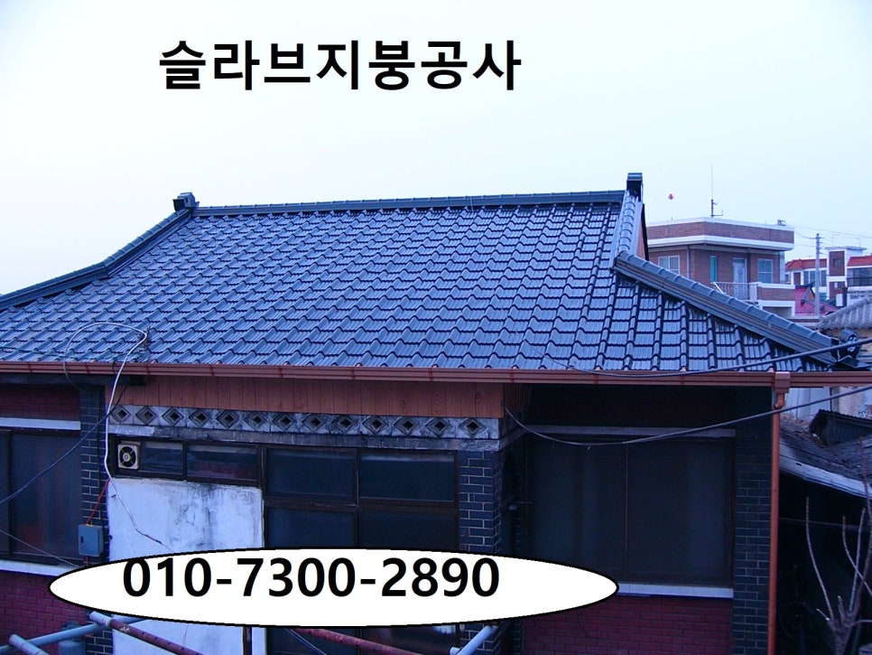 온양칼라 이미지