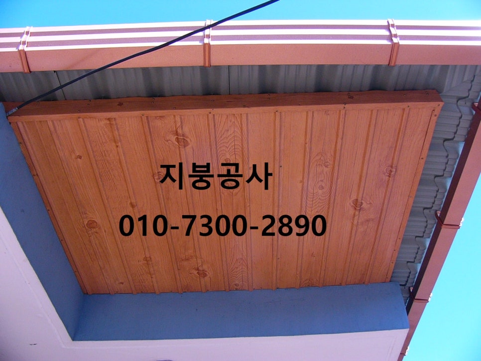 온양칼라 이미지