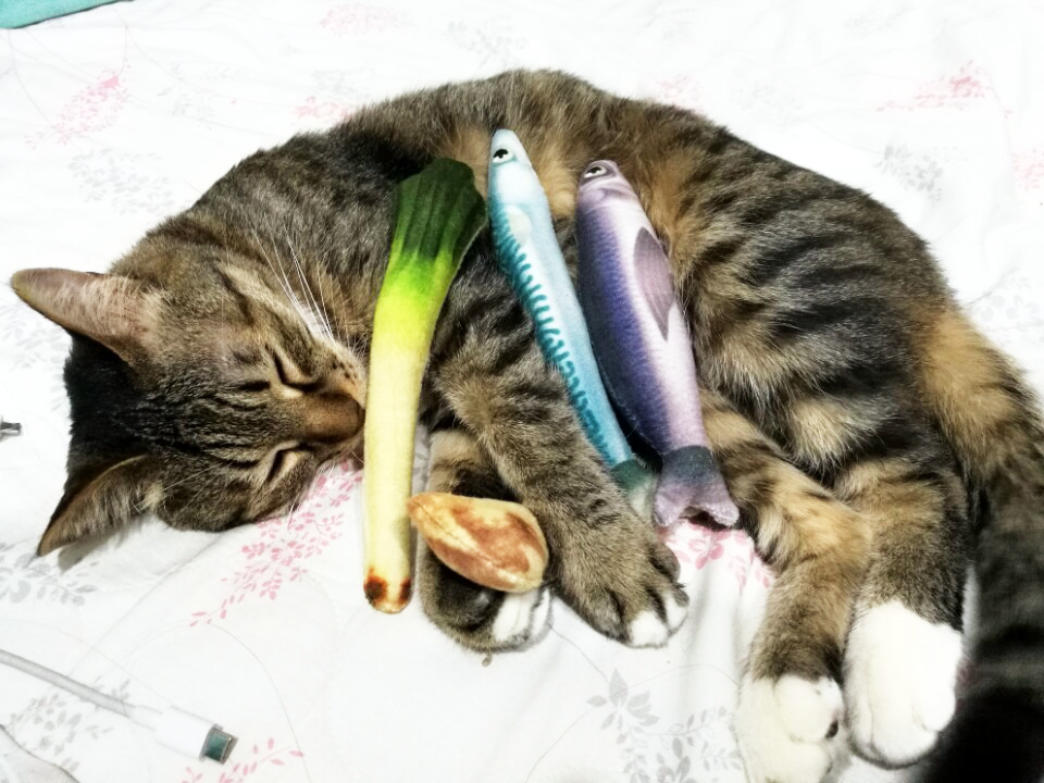 까미팜 이미지