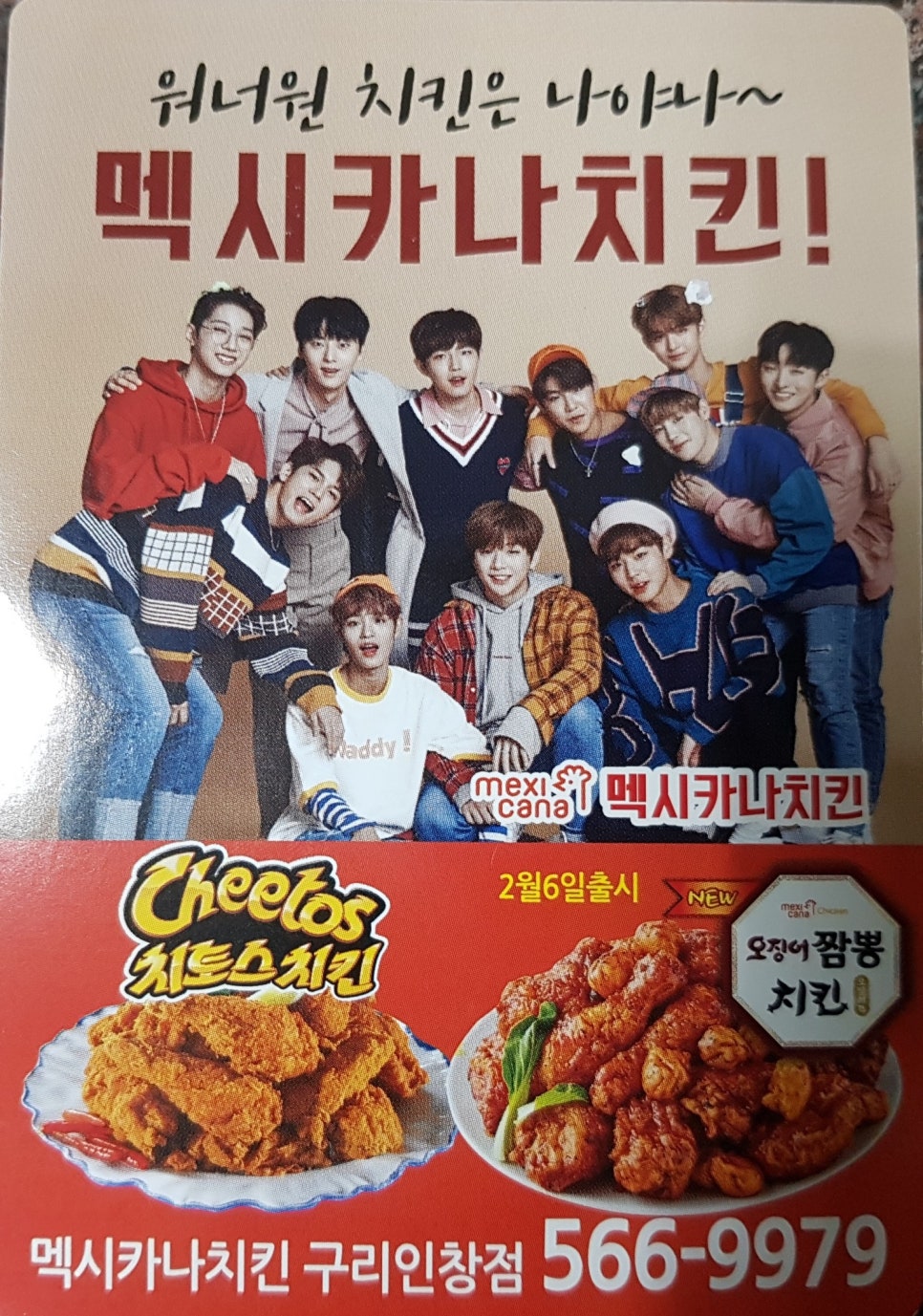 멕시카나구리 이미지