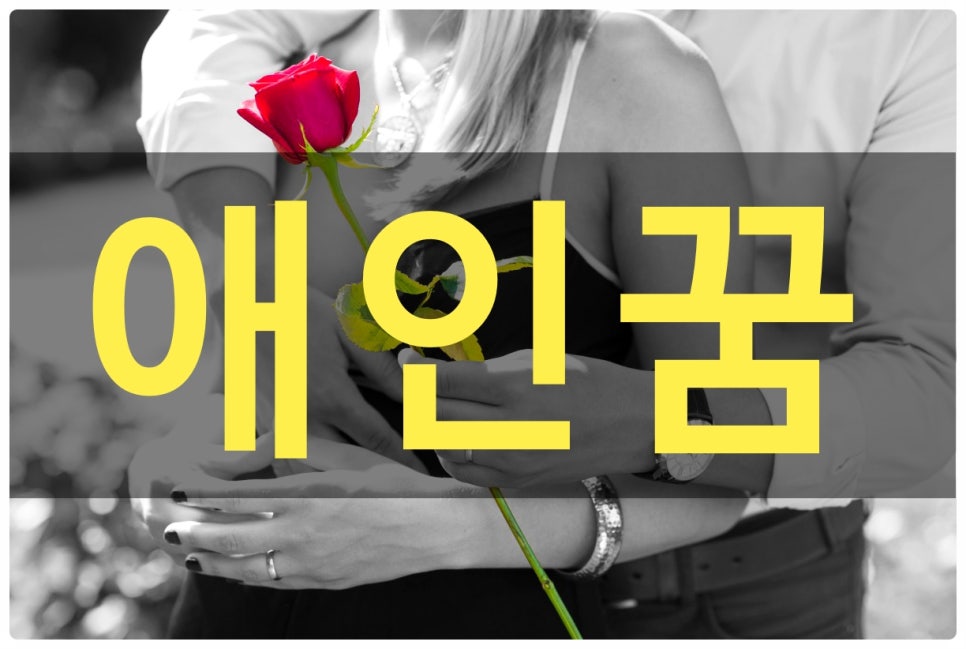 애인다방 이미지