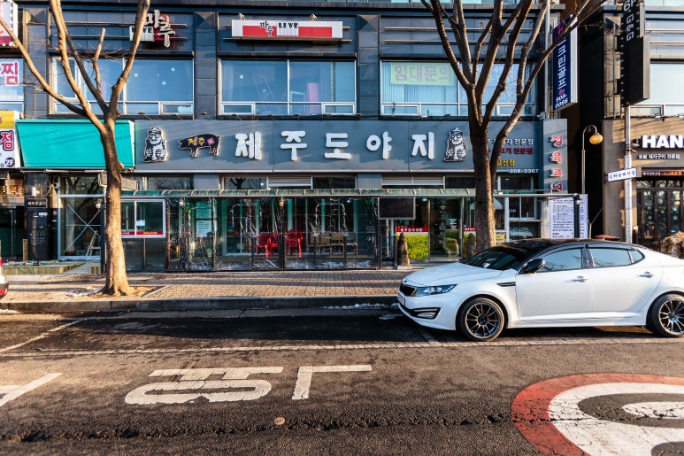 제주도야지 이미지