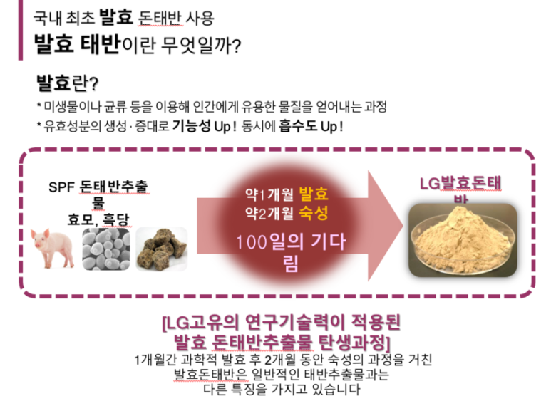 하나미 이미지