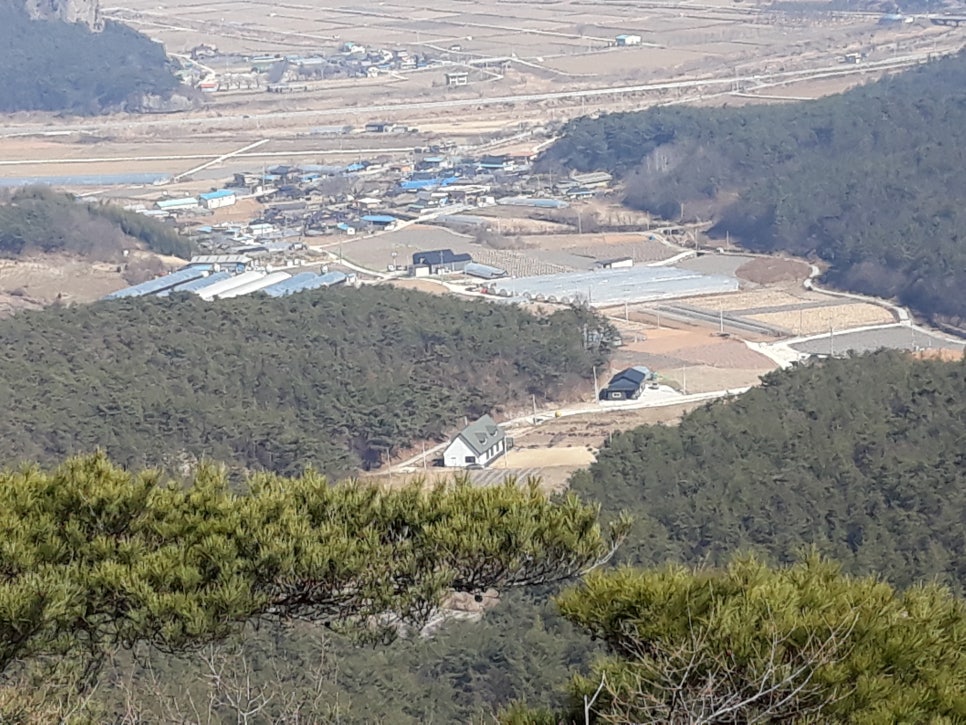 보니타정원 이미지