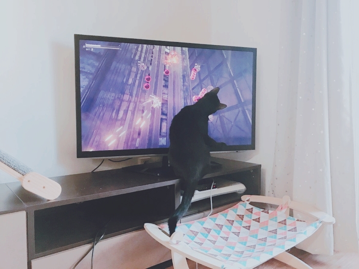 늘보미 이미지