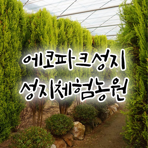 에코파크성지 이미지