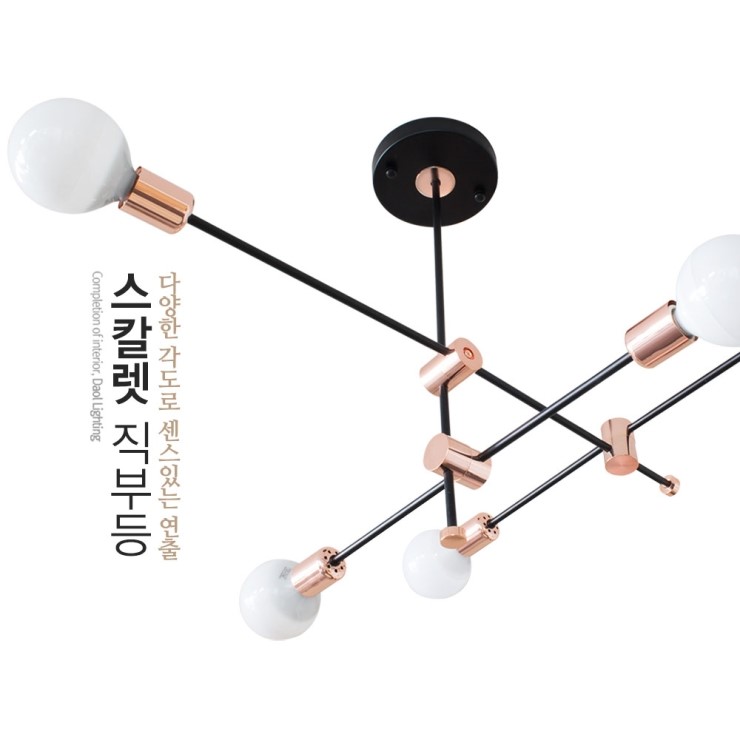 스칼렛로즈 이미지