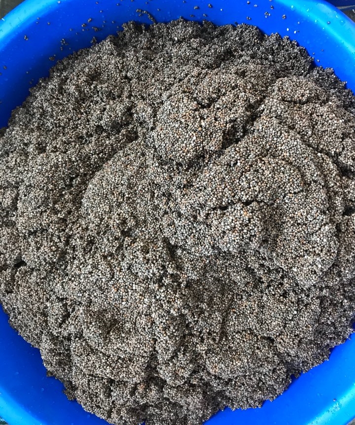 고참들 마당 이미지
