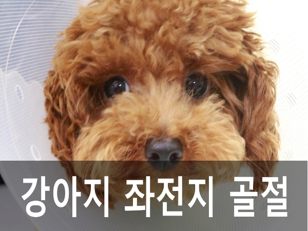우신정형외과 이미지