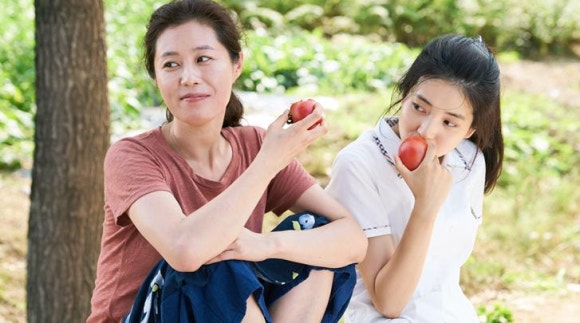 쿠키포레스트 이미지