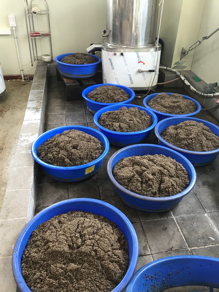 고참들 마당 이미지