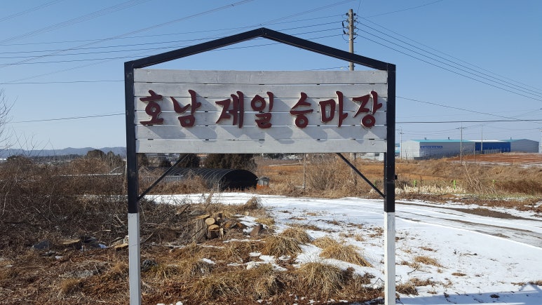 호남제일승마장 이미지