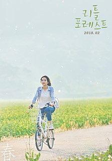 쿠키포레스트 이미지