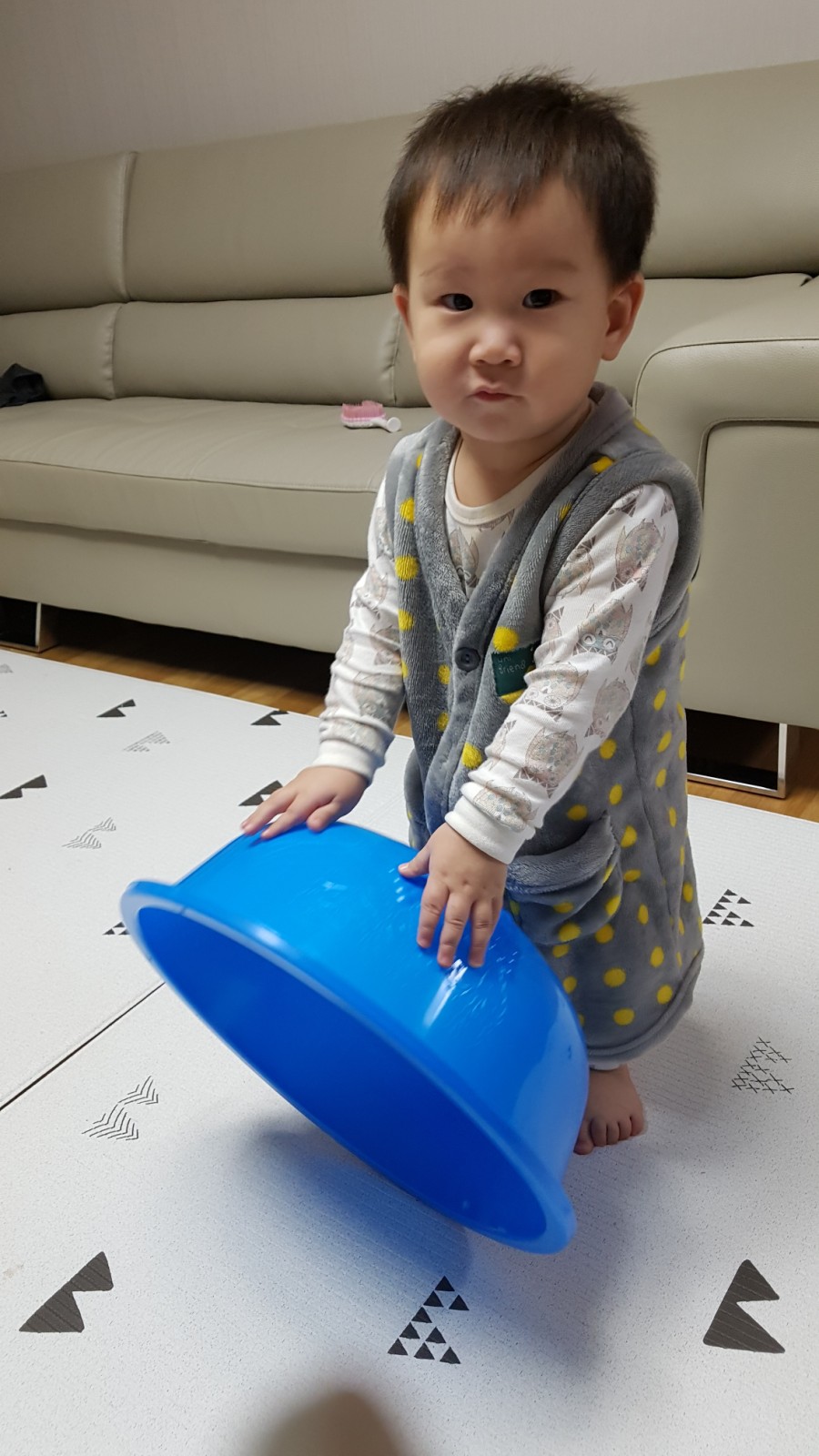 세영정육 이미지