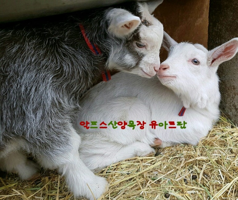 우리나라 이미지