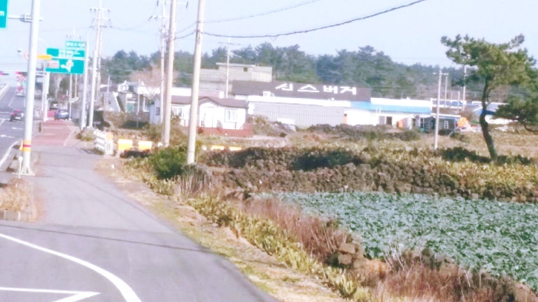 신스버거 이미지