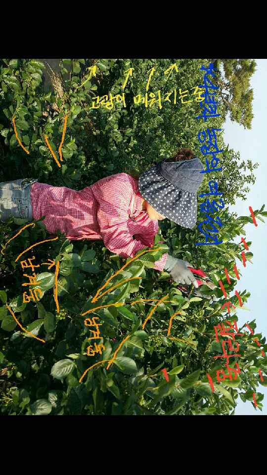 상록슈퍼 이미지