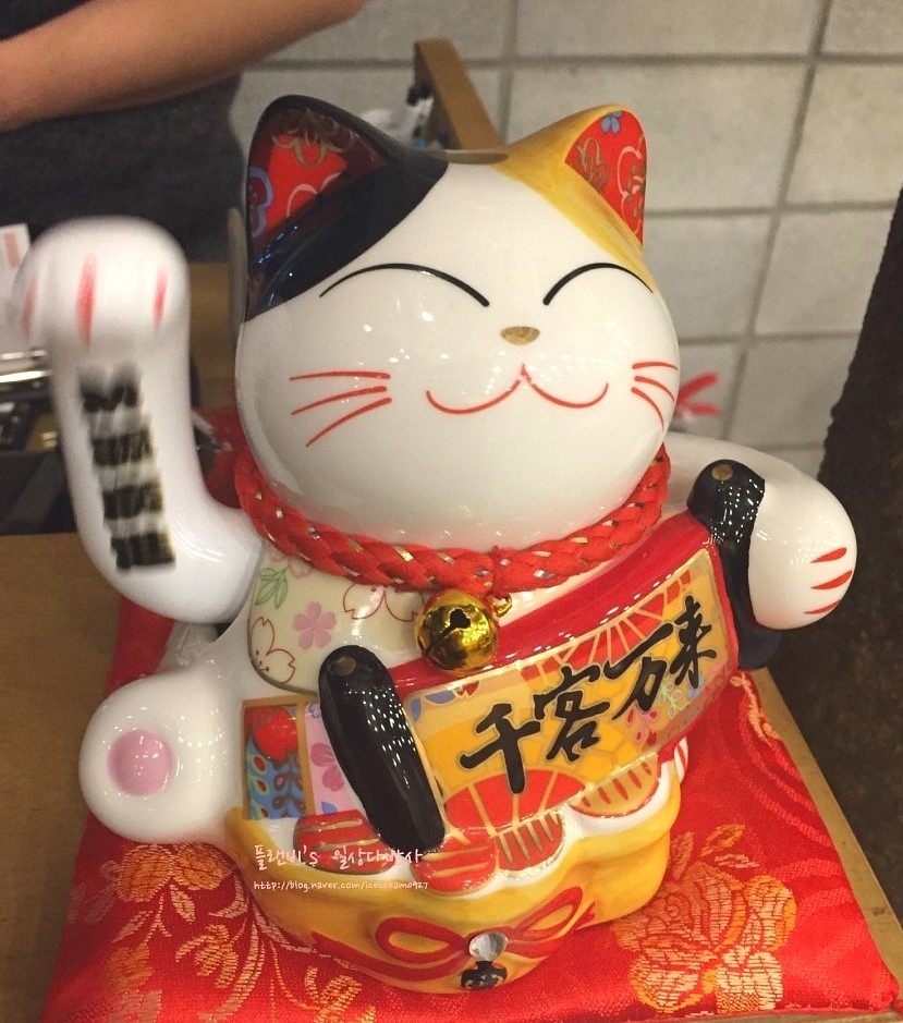 아비꼬원주 이미지