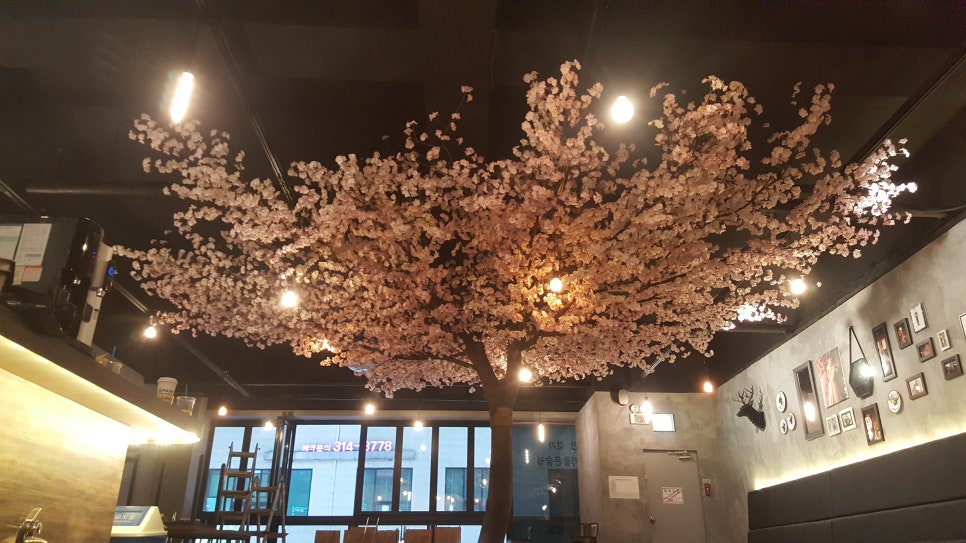 옥상ENG 이미지