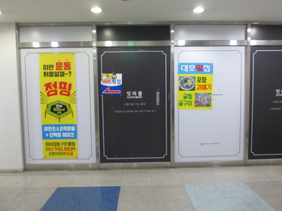 오렌지수선실 이미지