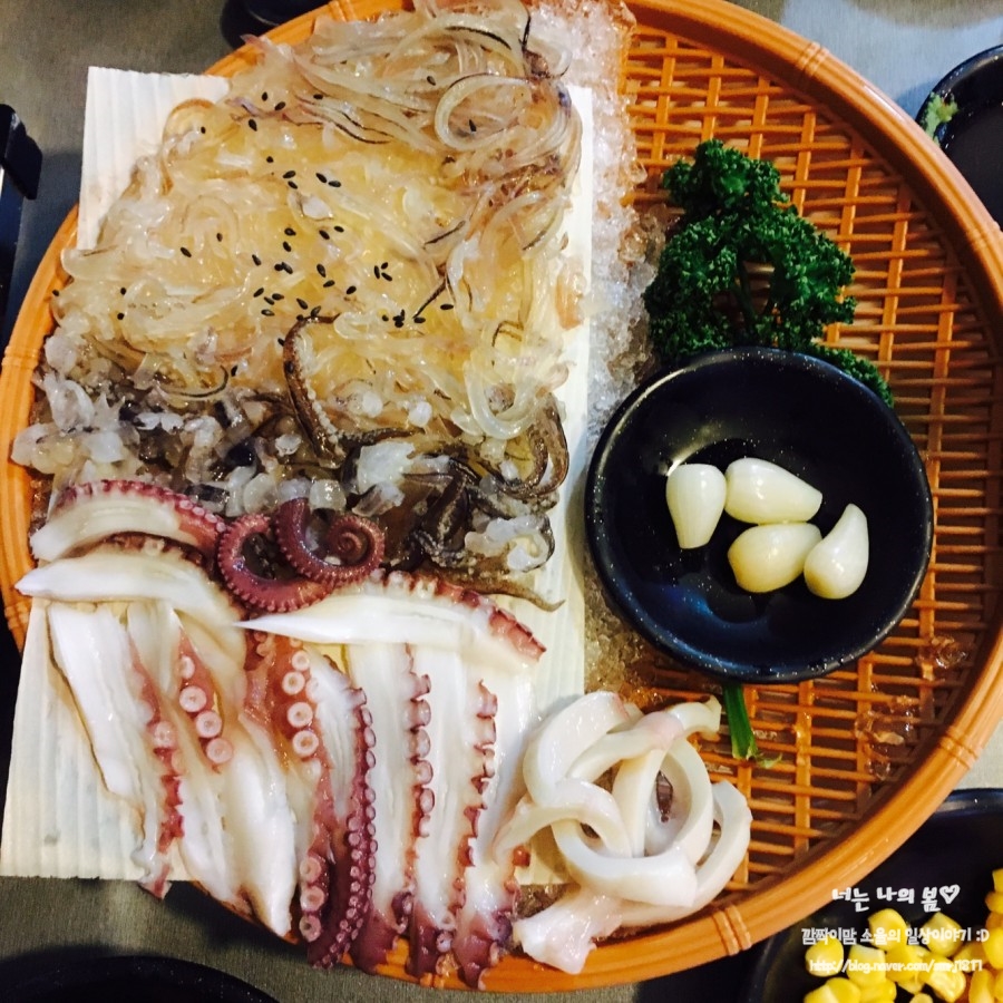 문어와산오징어 이미지