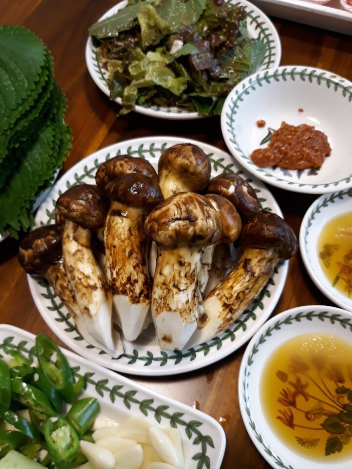 송이집 이미지