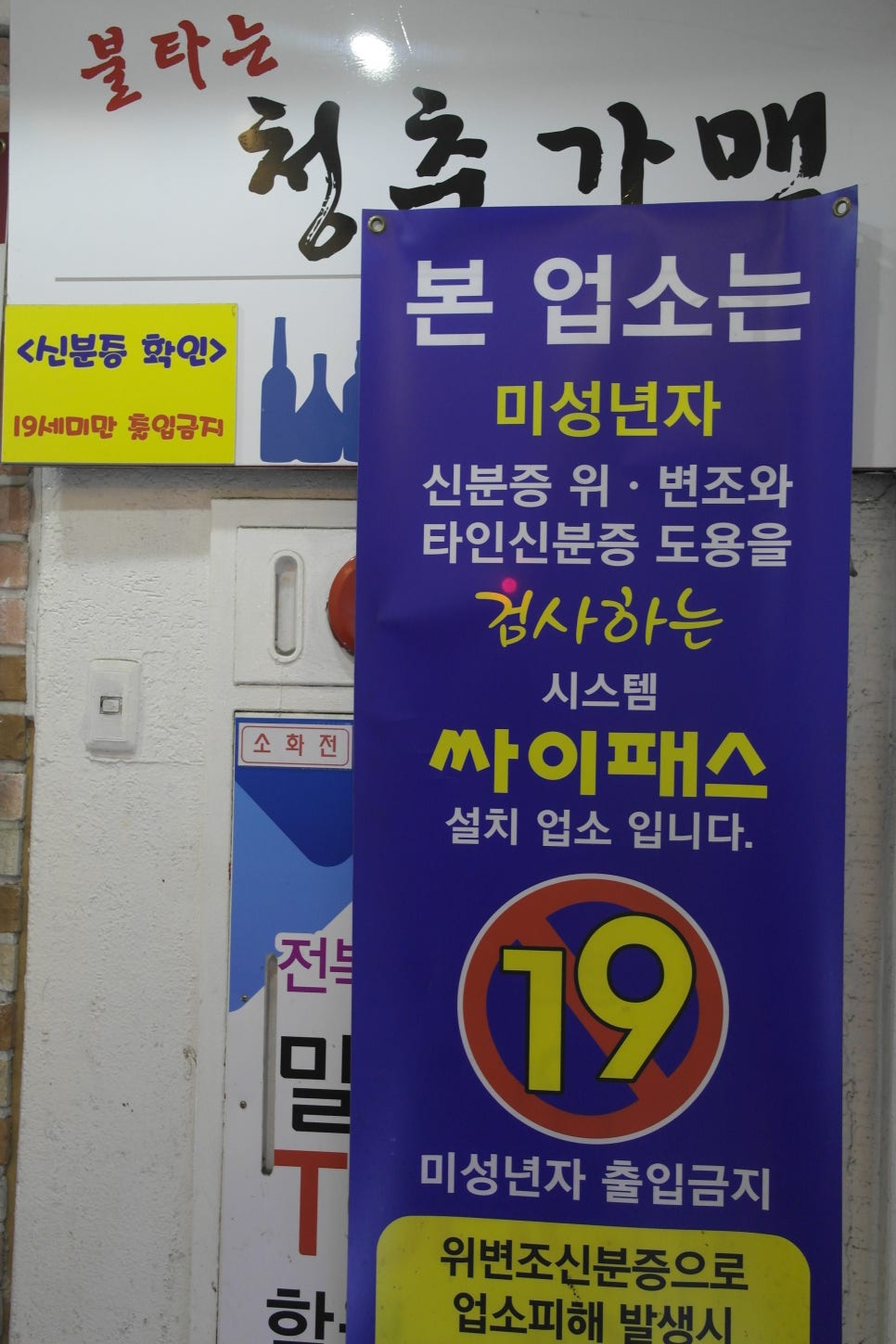 청춘가맥 이미지