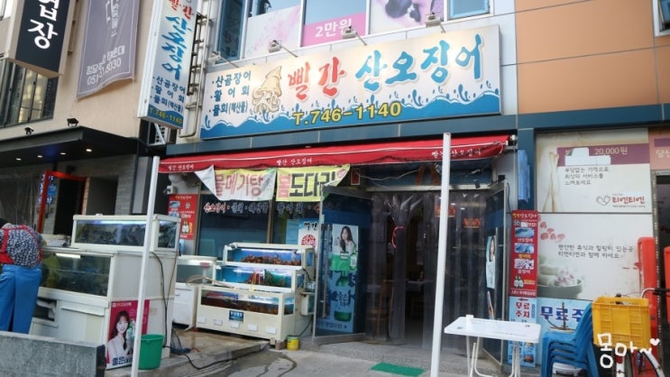 빨간산오징어 이미지