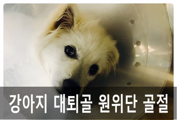 우신정형외과 이미지