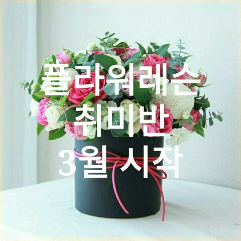 블룸스앤드 이미지