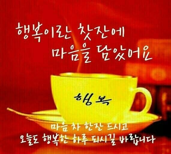 (주)풀잎소리 이미지