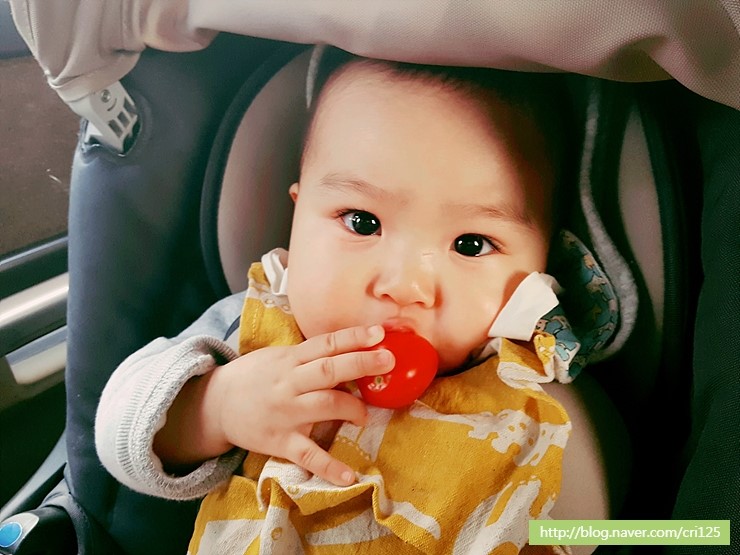 금능공립어린이집 이미지