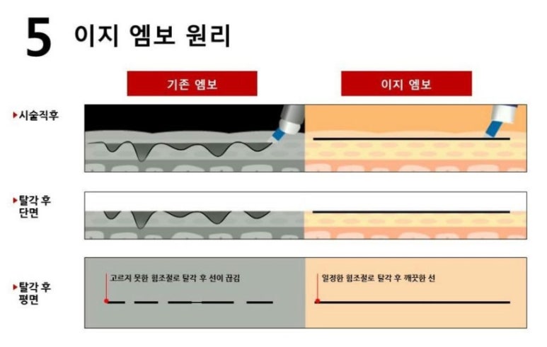 수지브로우 이미지
