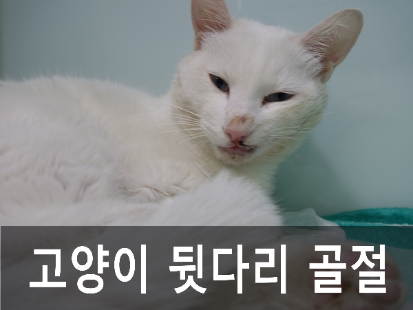 우신정형외과 이미지