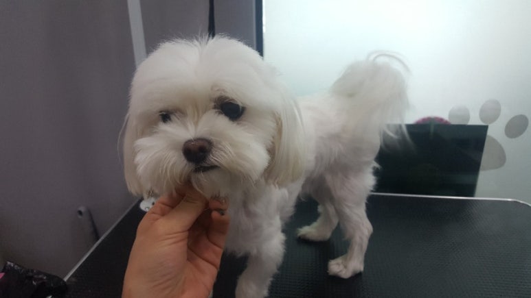 두리미용실 이미지