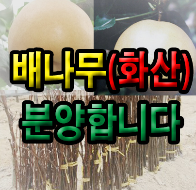 화산농원 이미지