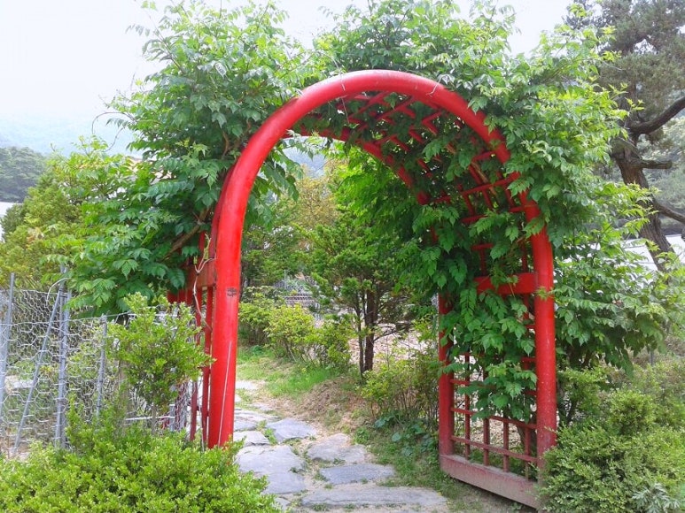 원평소머리국밥 이미지