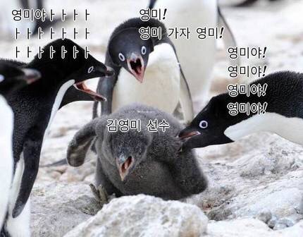 아이콘싸인 이미지