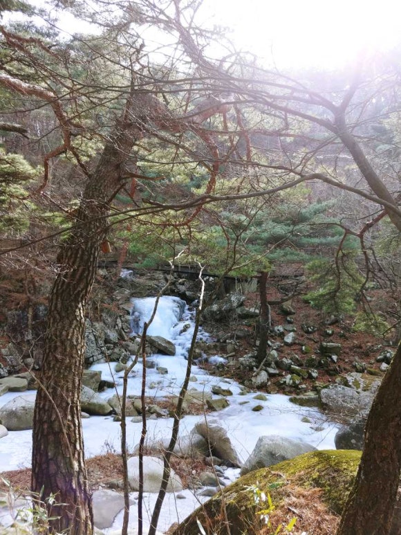 천신통신 이미지