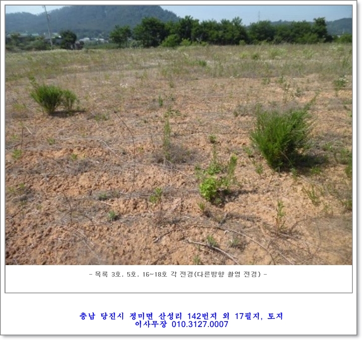 태양법무사사무소 이미지