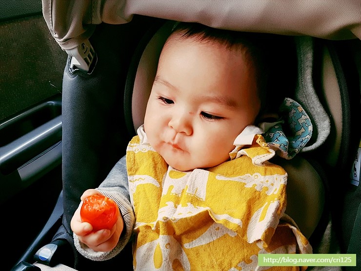 금능공립어린이집 이미지