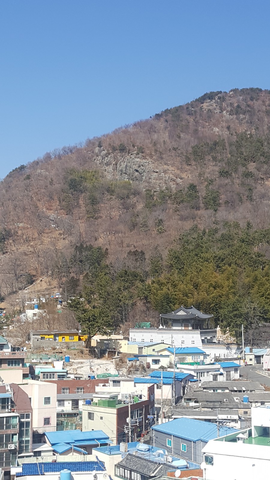 아트코칭나무 이미지