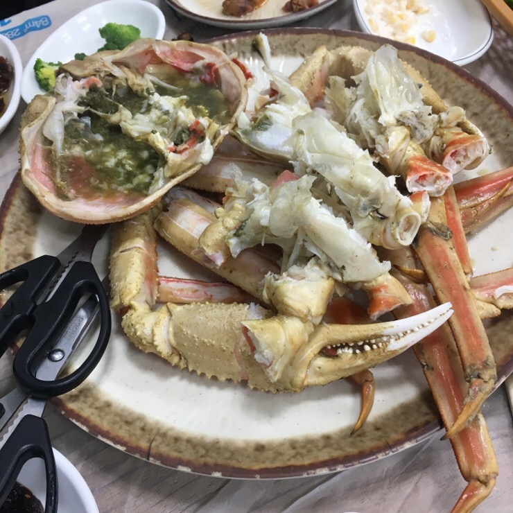 춘길호 이미지