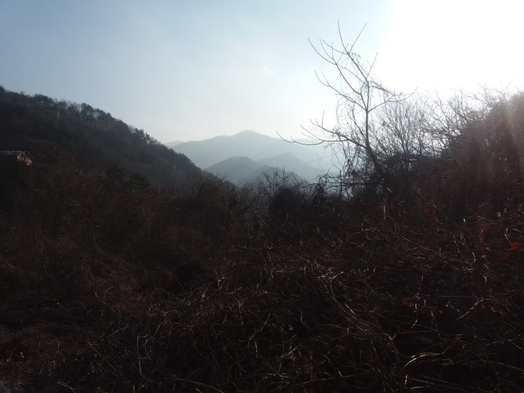 영월가나안농장 이미지