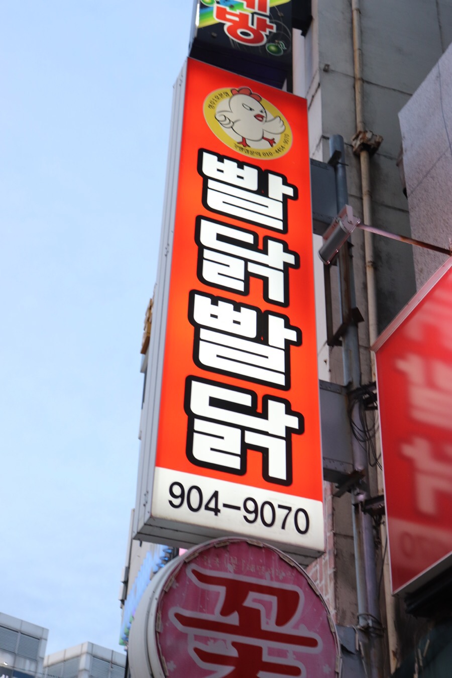 빨닭빨닭 이미지