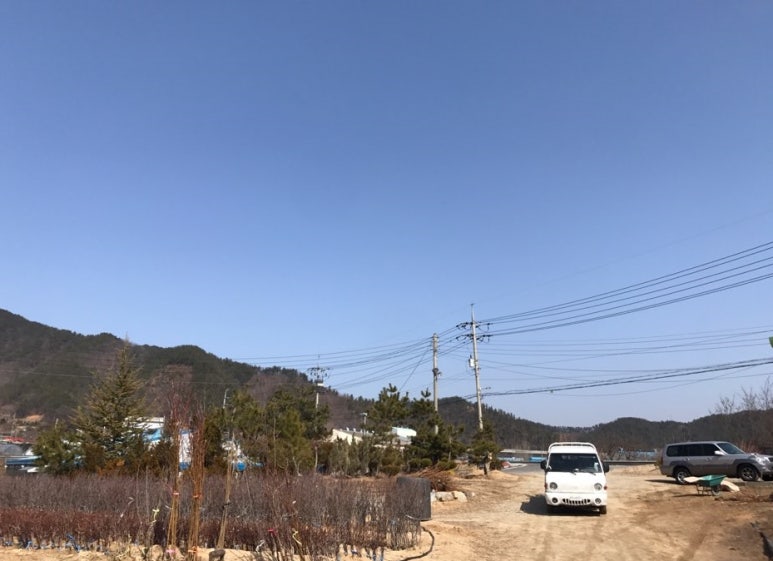 체리사랑농원 이미지
